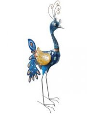 Pfau blau orange